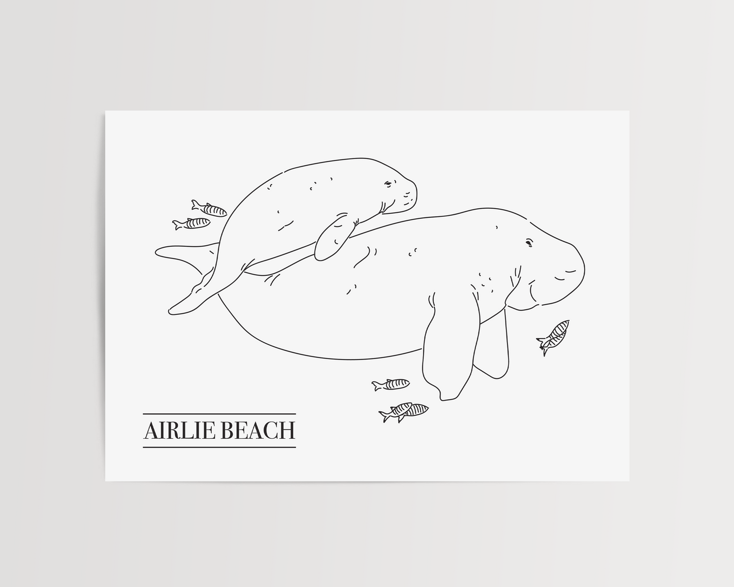 Airlie Beach Dugong