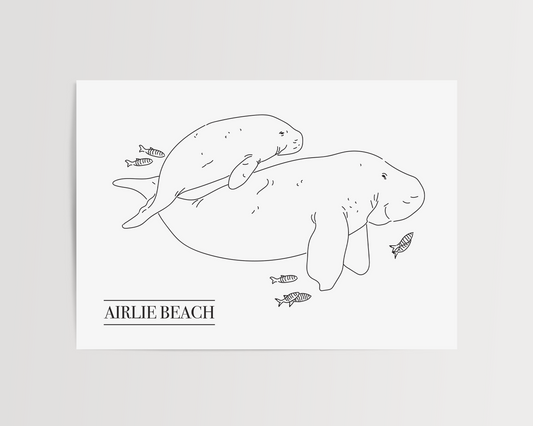 Airlie Beach Dugong